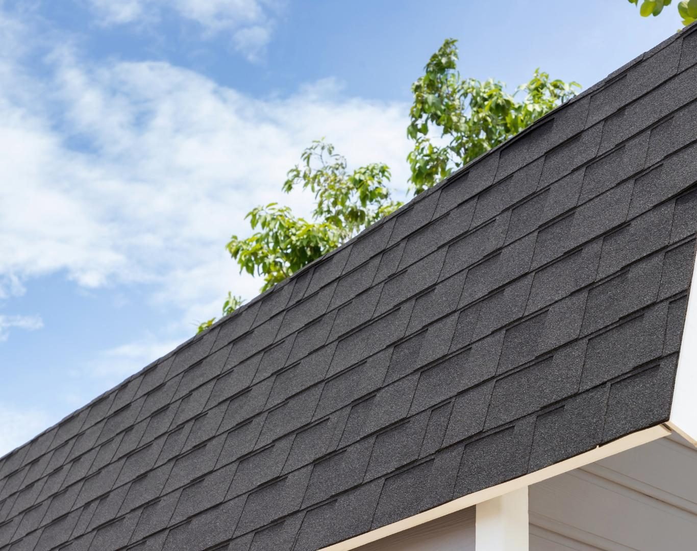 Thorough roof inspection near me in Sangaree, SC by experienced roofing professionals